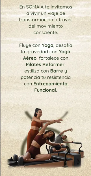 Captura del sitio web de SOMAIA